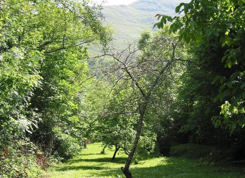 Extérieur Photo
