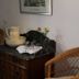 Équipements de la chambre