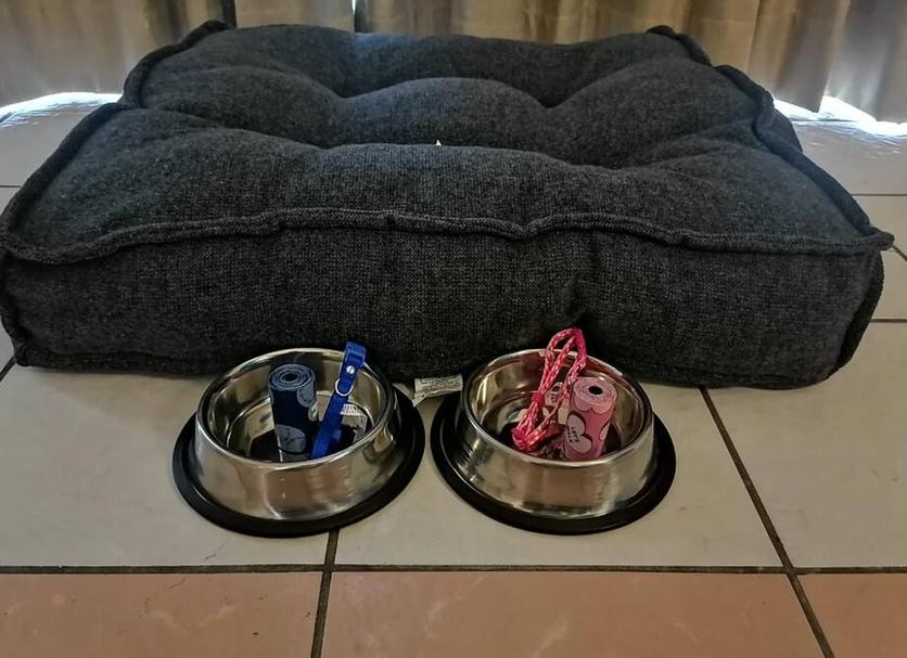 Équipements de la chambre Photo