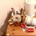 Équipements de la chambre