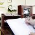 Équipements de la chambre