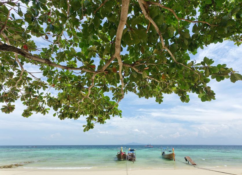 Plage Photo