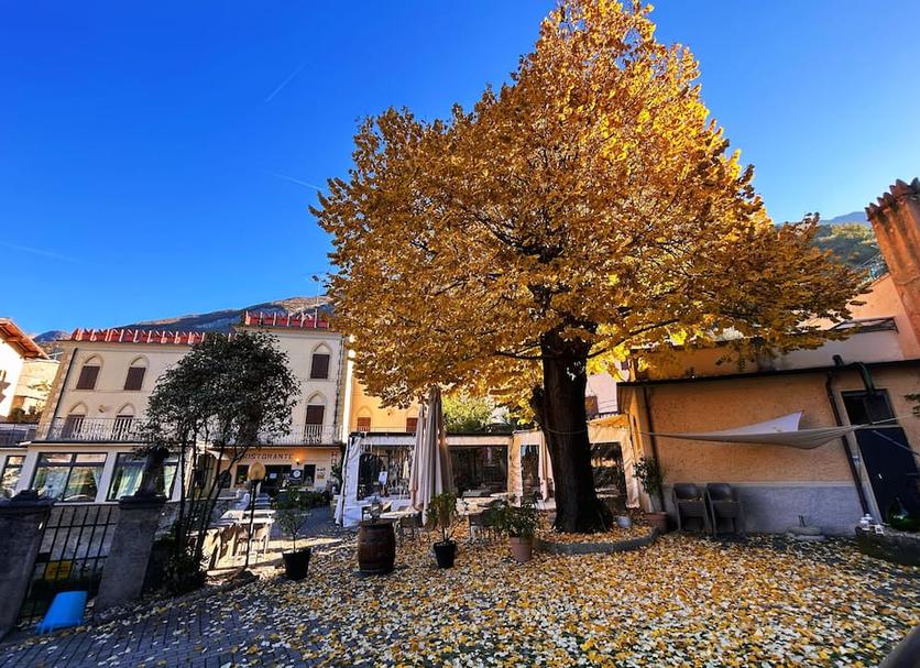 Bâtiment Photo