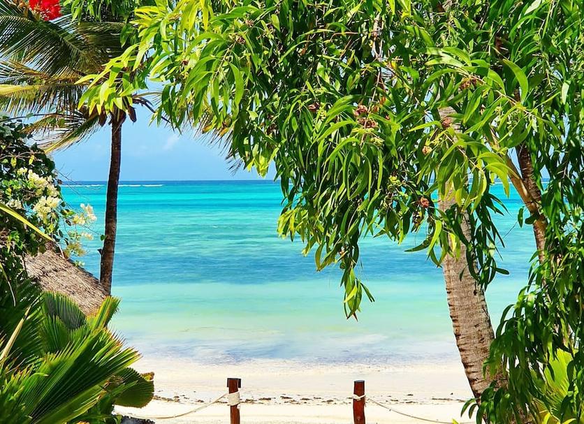 Plage Photo