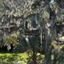 Autre