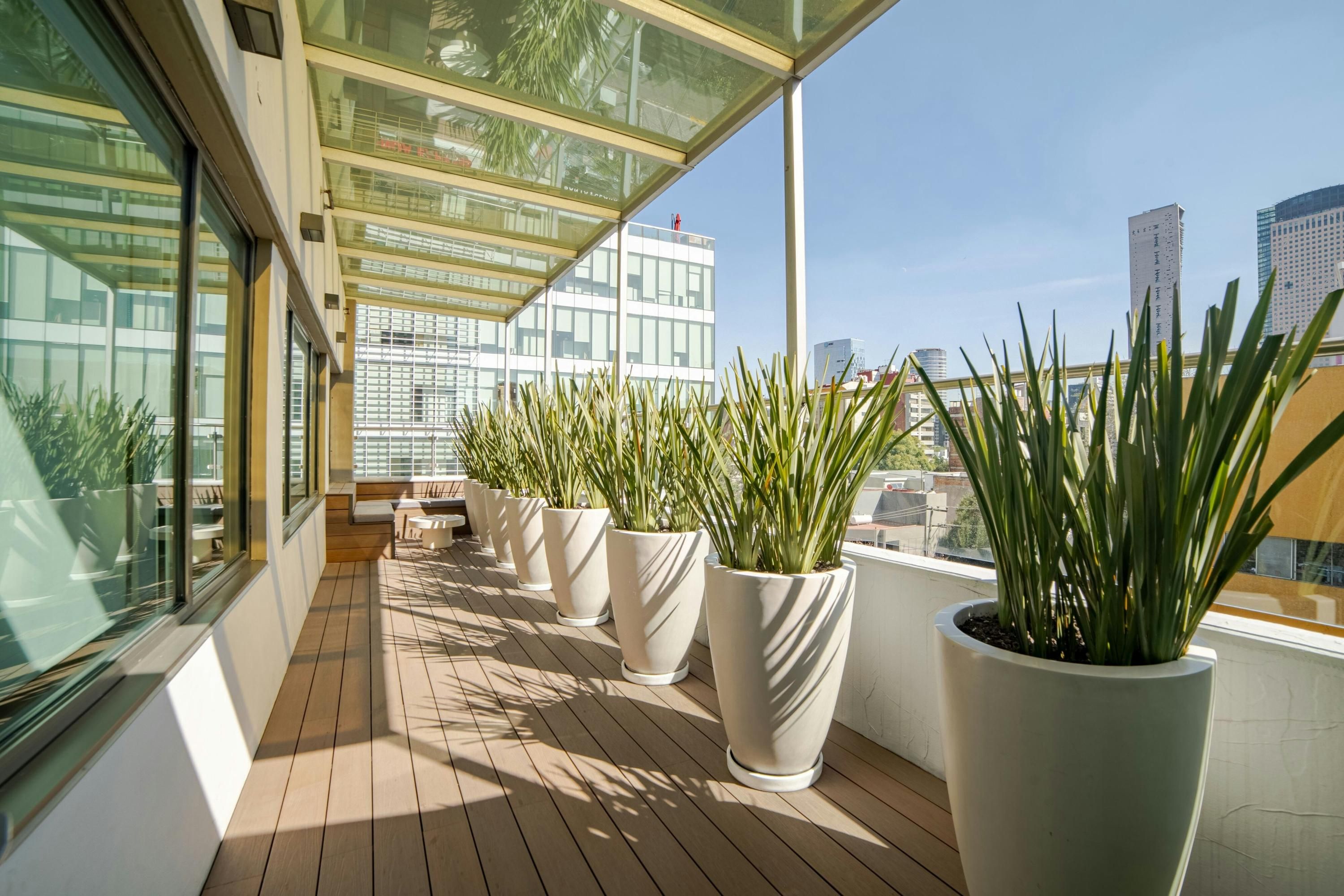 Balcon