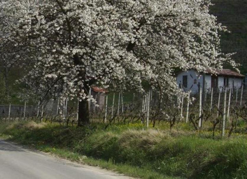 Extérieur Photo