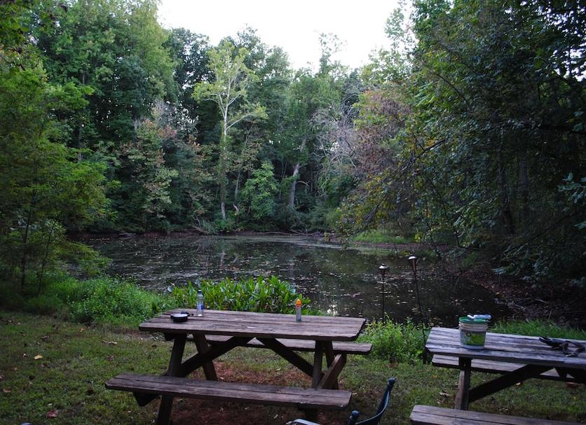 Patio Photo