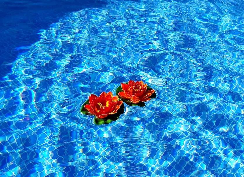 Autre Photo