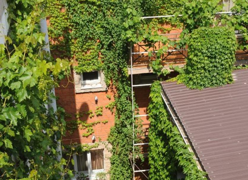 Extérieur Photo