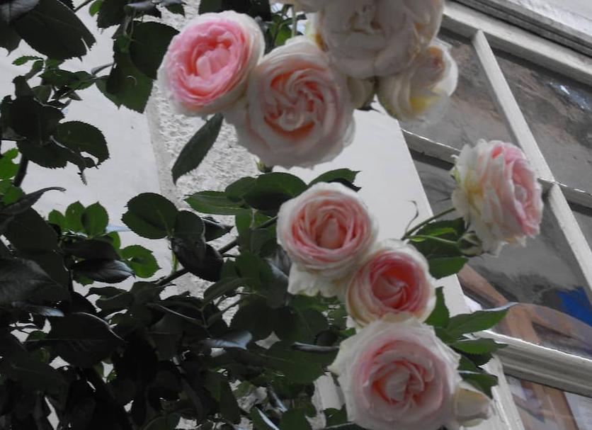Autre Photo