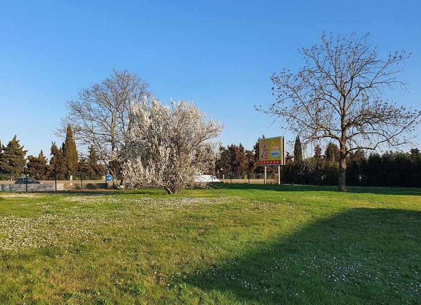 Extérieur Photo