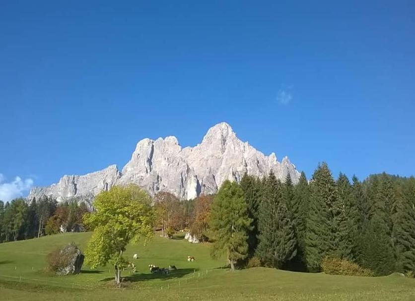 Extérieur Photo