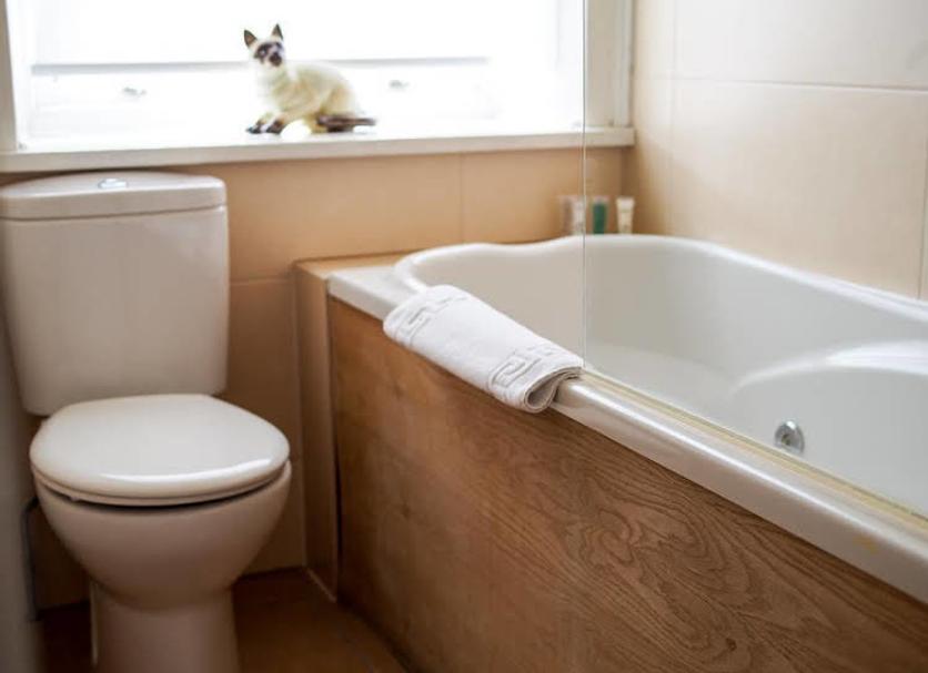 Salle de bain Photo