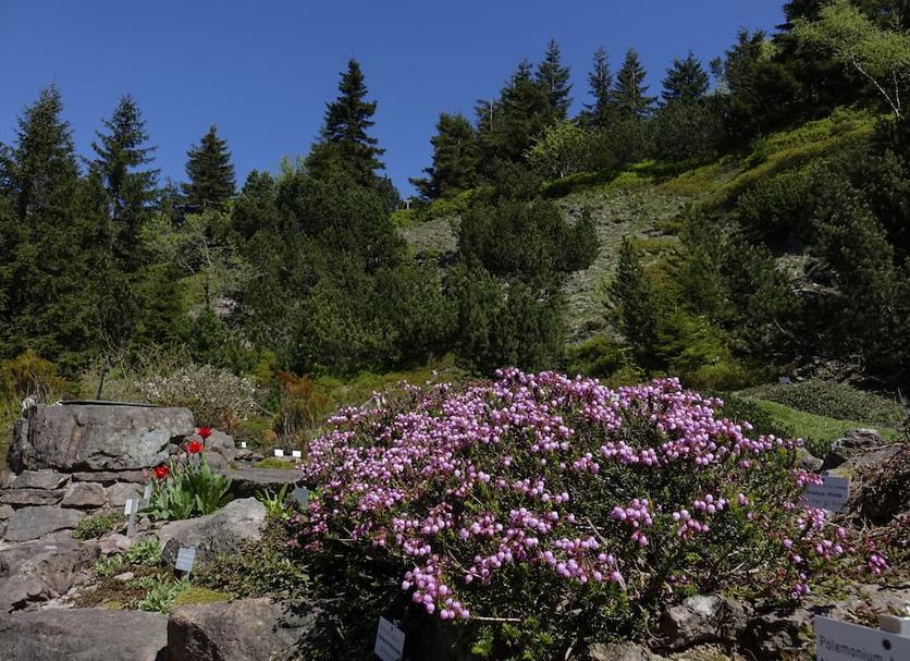 Extérieur Photo