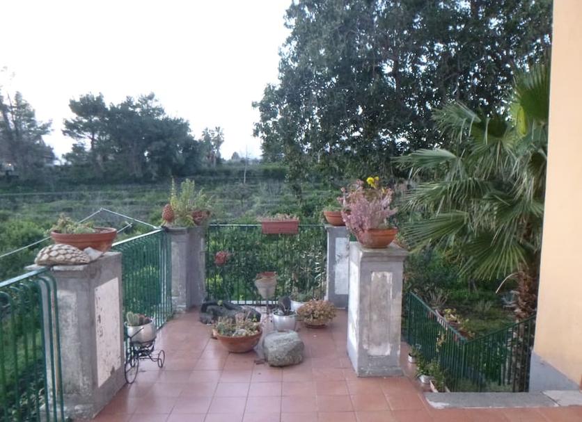 Extérieur Photo