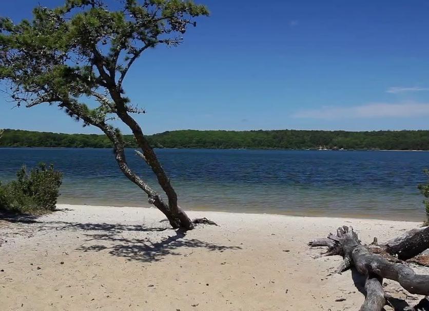 Plage Photo