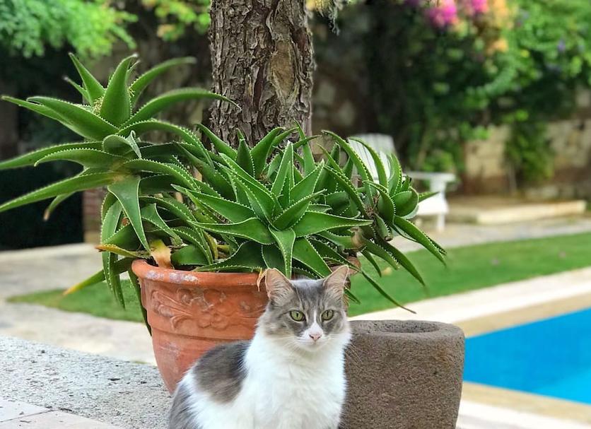 Extérieur Photo