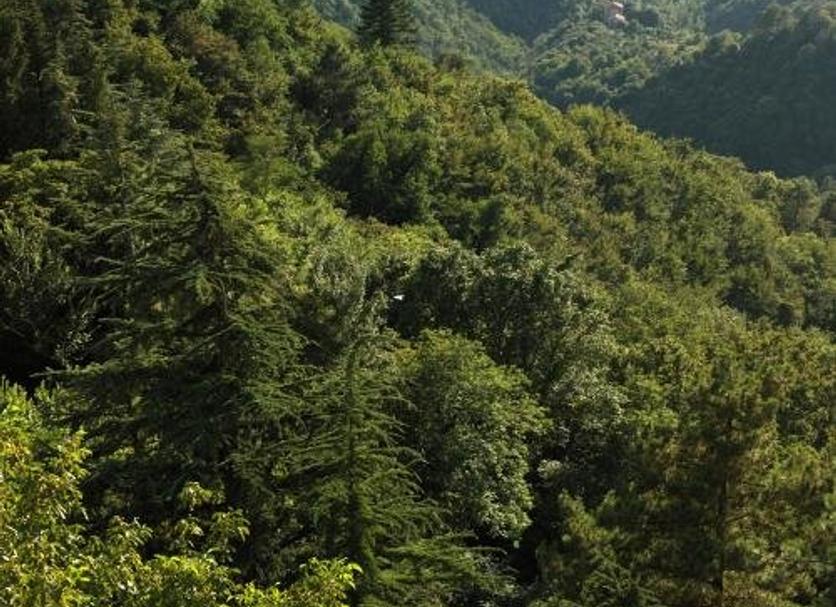 Extérieur Photo
