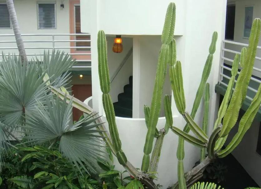 Extérieur Photo