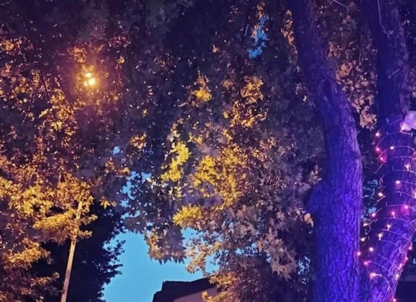 Extérieur Photo