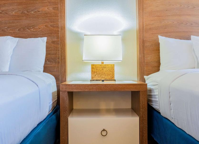 Équipements de la chambre Photo
