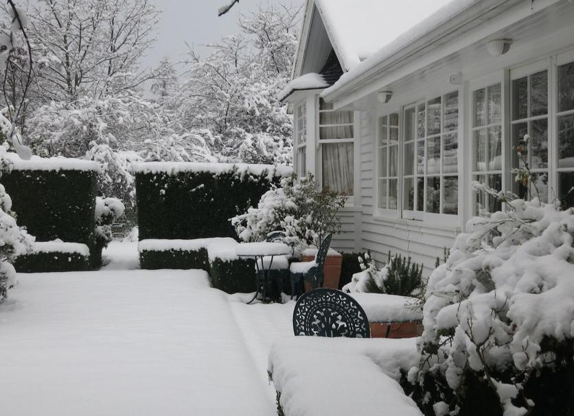 Patio Photo
