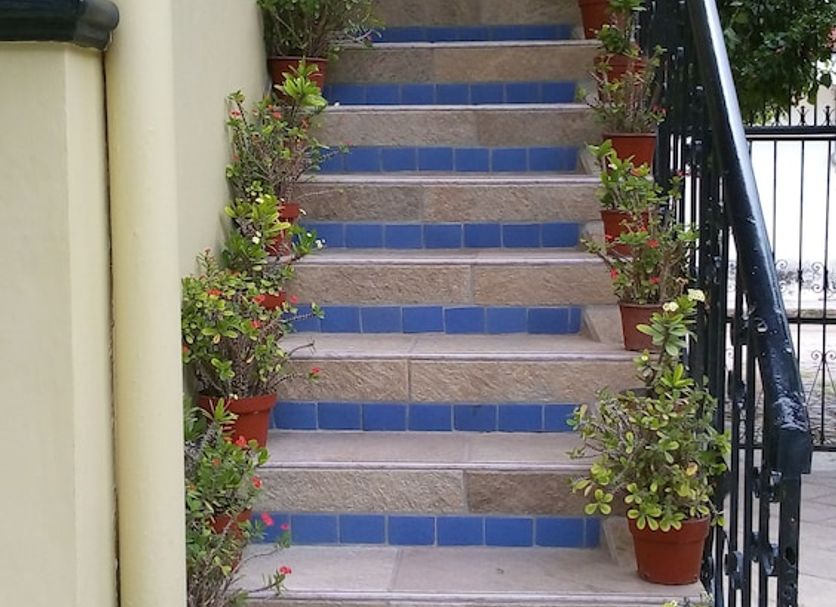 Escalier Photo