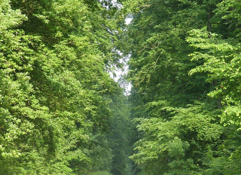 Extérieur Photo