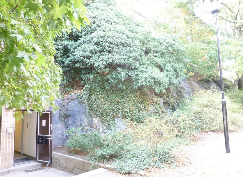 Extérieur Photo