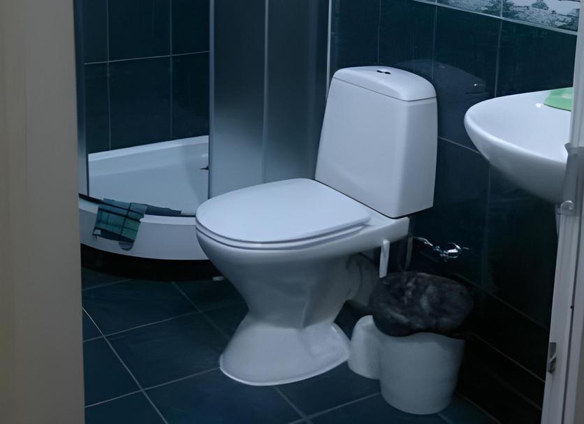 Salle de bain Photo