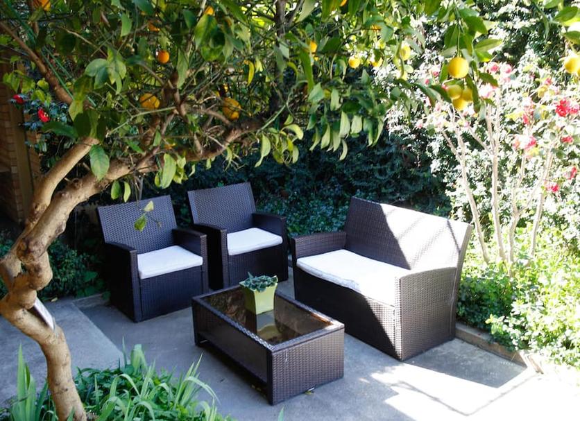 Patio Photo