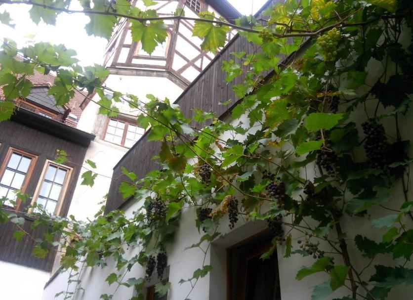 Extérieur Photo