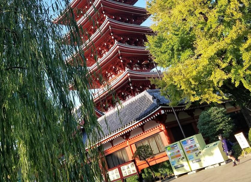 Bâtiment Photo