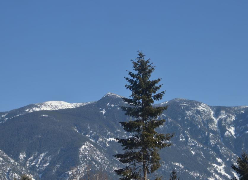 Extérieur Photo
