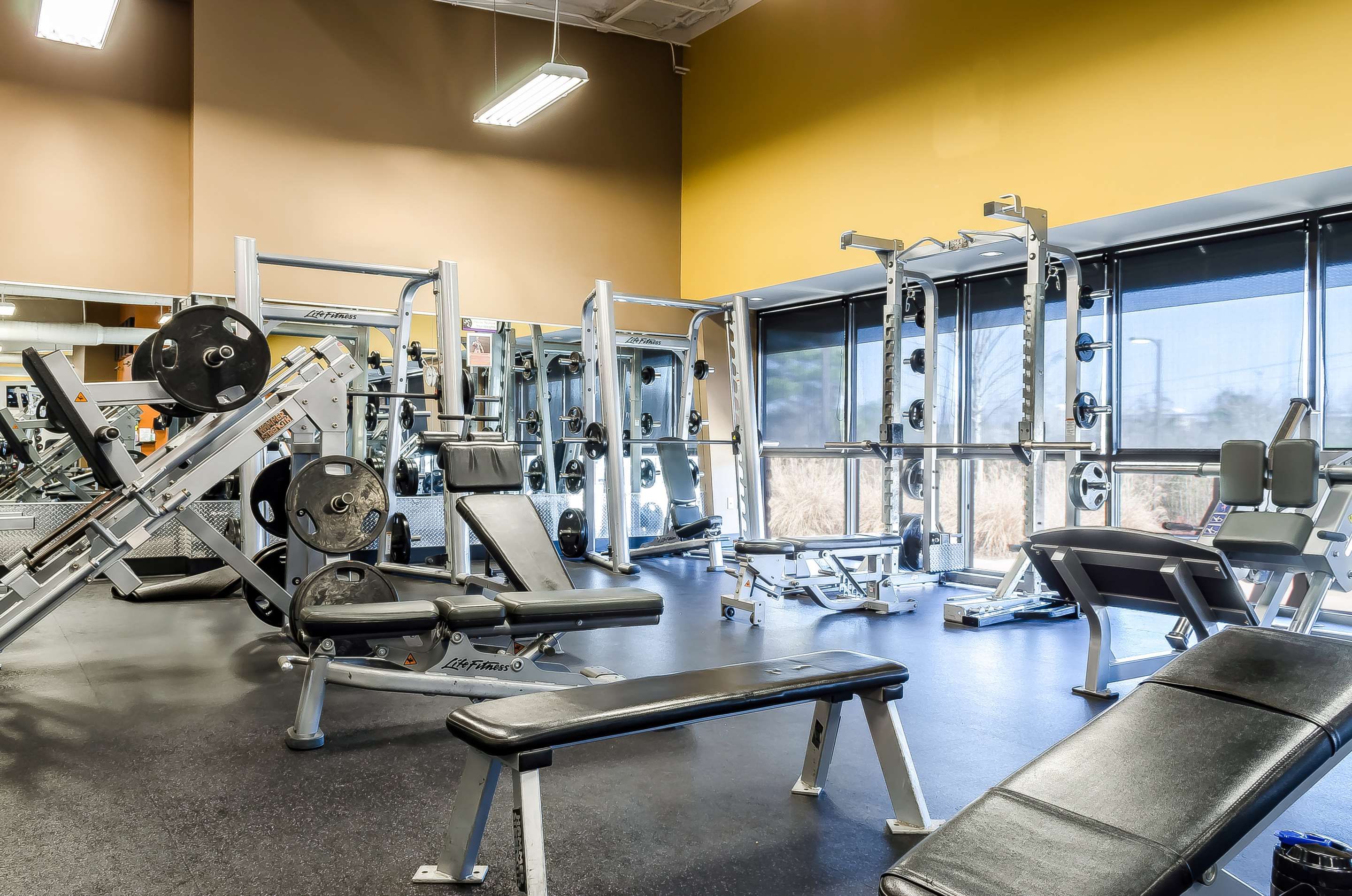 Salle de sport