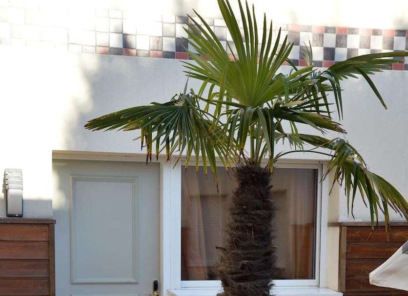 Extérieur Photo