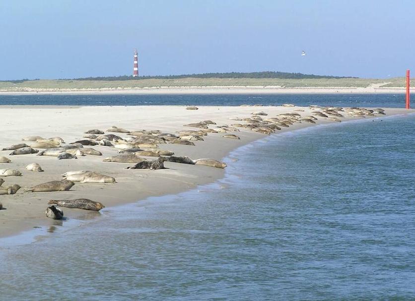 Plage Photo