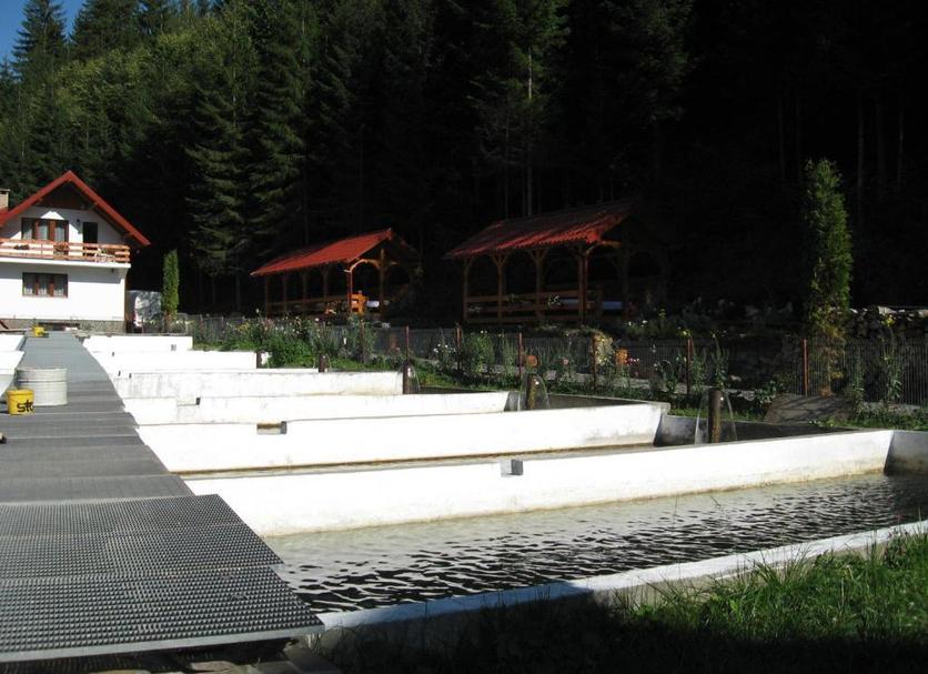 Extérieur Photo