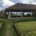 Autre