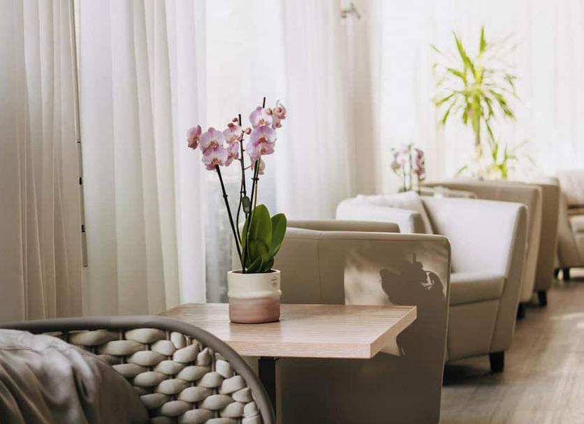 Équipements de la chambre Photo