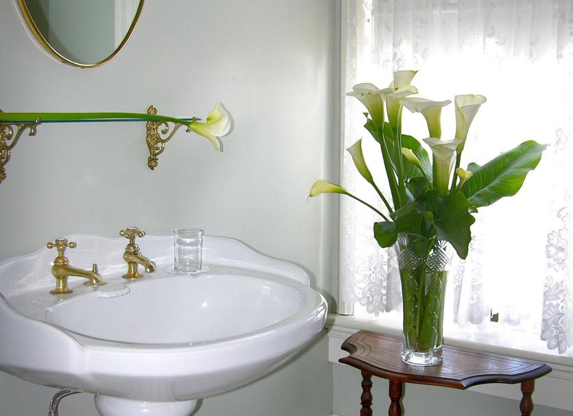 Salle de bain Photo