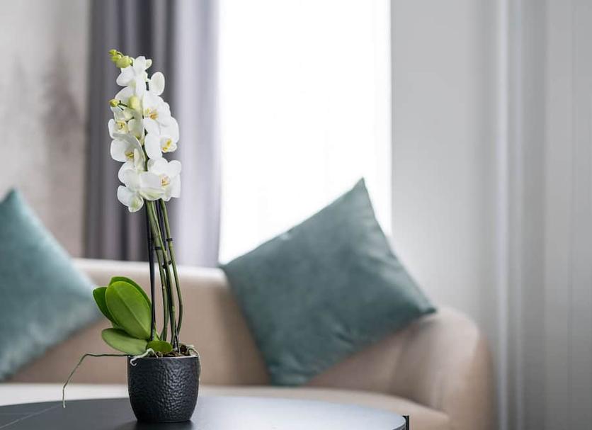 Équipements de la chambre Photo