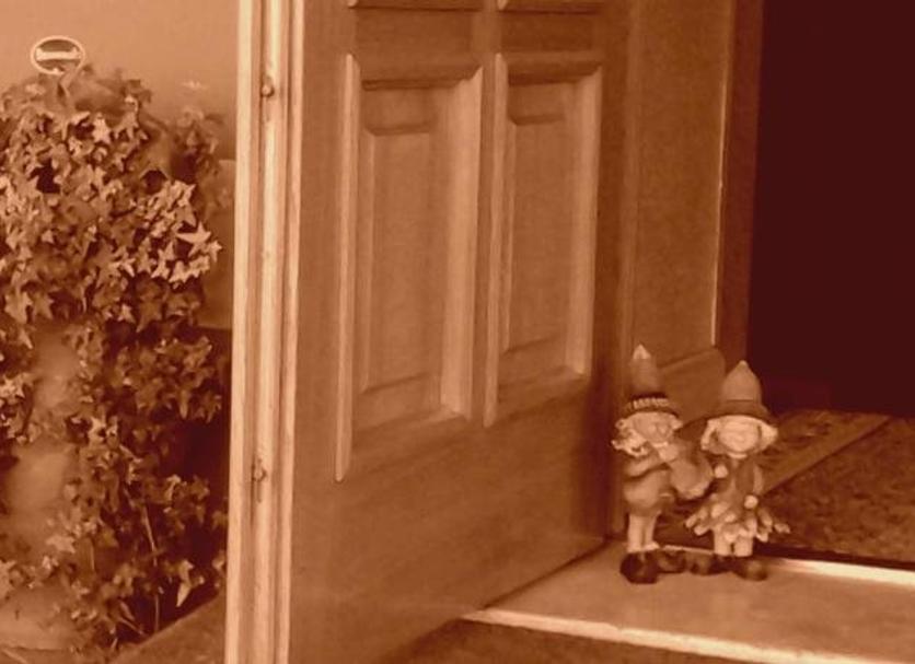 Équipements de la chambre Photo