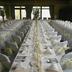 Salle de banquet