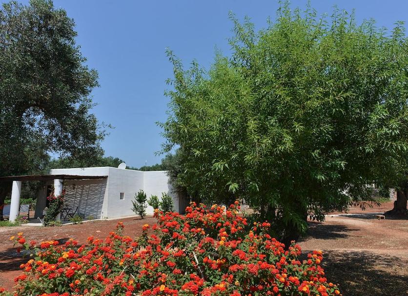 Extérieur Photo