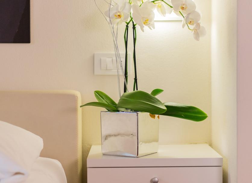 Équipements de la chambre Photo