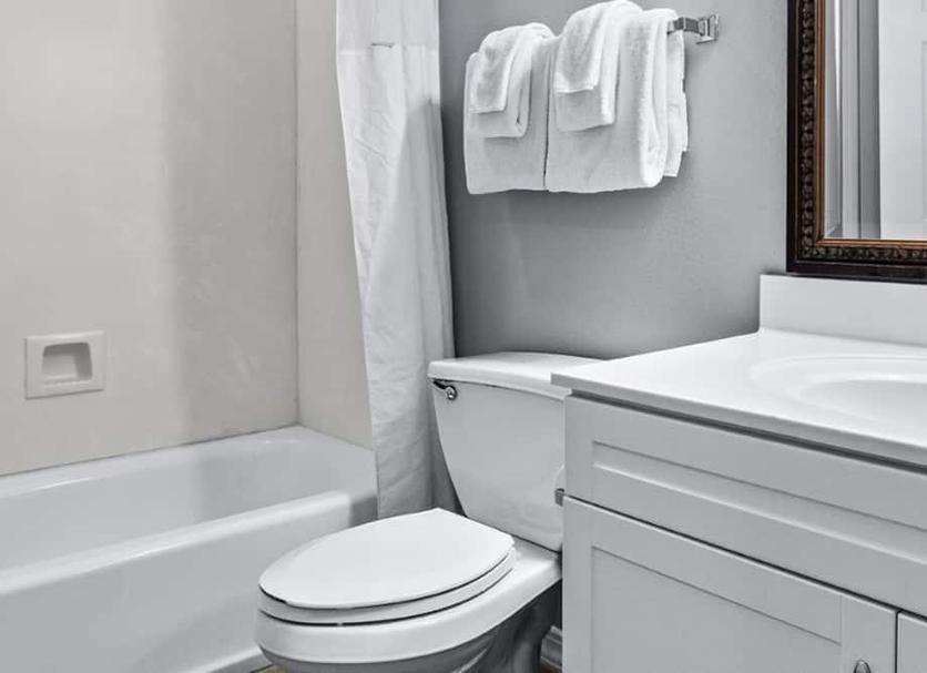Salle de bain Photo