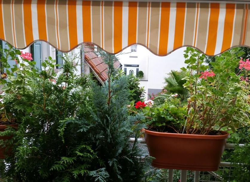 Extérieur Photo