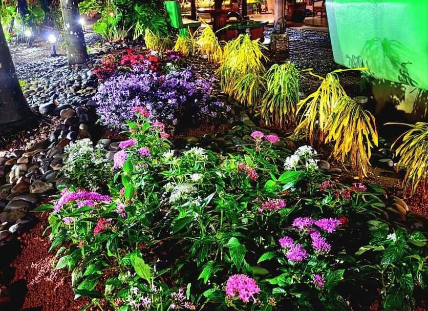 Extérieur Photo
